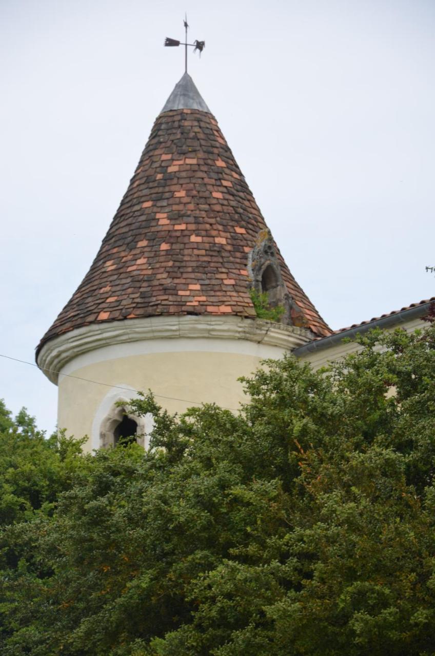 Chambres D'Hotes Du Chateau De Saint SulpiceLa Sauvetat-sur-Lède エクステリア 写真